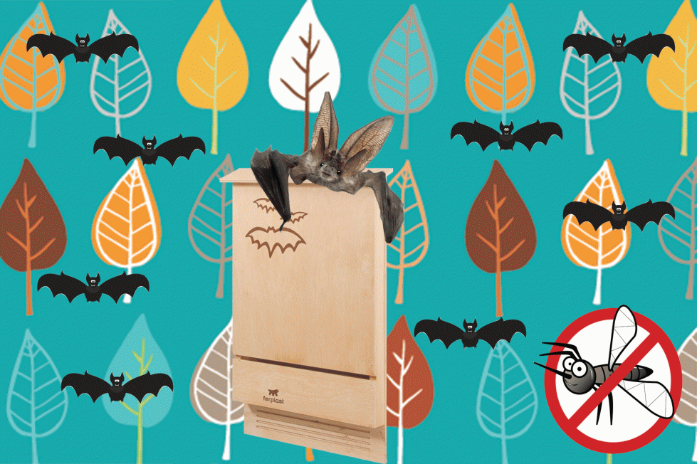 Bat House, una Casetta per Pipistrelli per combattere le Zanzare